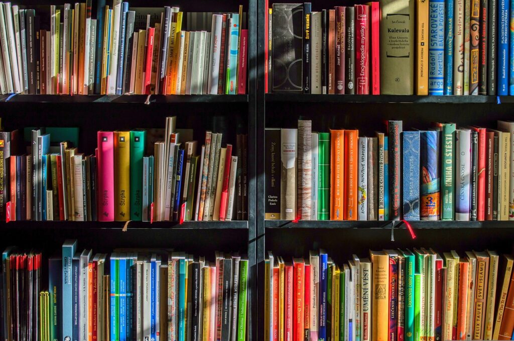 christmas background, books, bookstore, reading, writer, read, reader, colors, shelf, education, library, knowledge, novels, educación