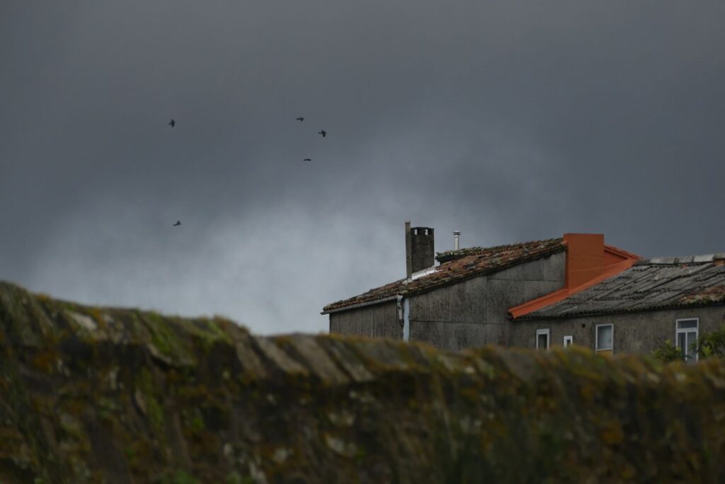 An old stone house with a mossy roof under a dark, stormy sky with birds in flight. Mateo